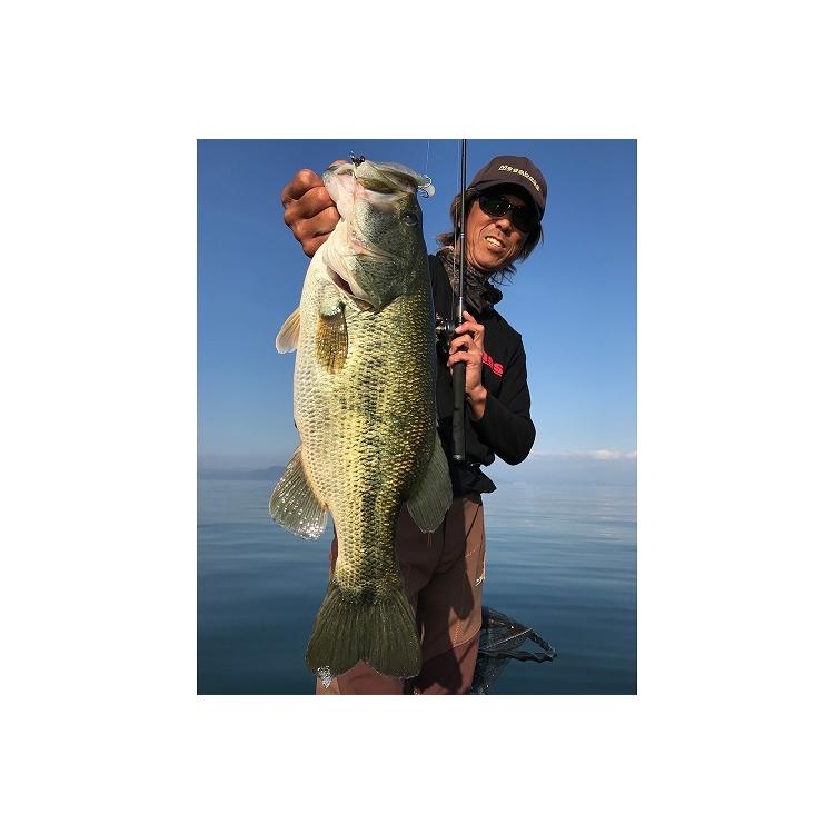 Megabass（メガバス） プロップ ダーター アイ・ウエイク (PROP DARTER