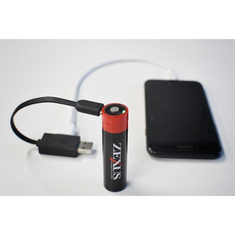 冨士灯器 ZEXUS専用電池 ZR-02（3400mAh）PSE認証商品 (爆買) : 釣具の