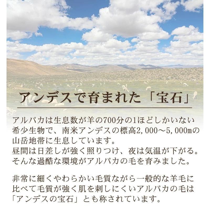 日本製 アルパカ 100％ 毛布シングル【140×200cm】 保湿 チクチク