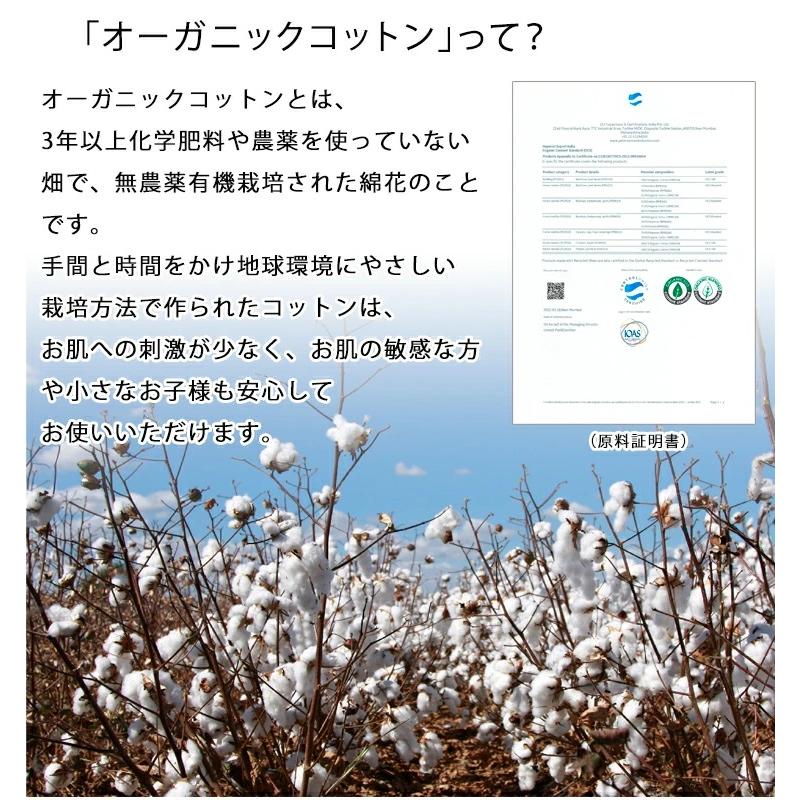 洗える オーガニックインド綿ラグ 195×245 長方形 3畳 北欧調 コットン