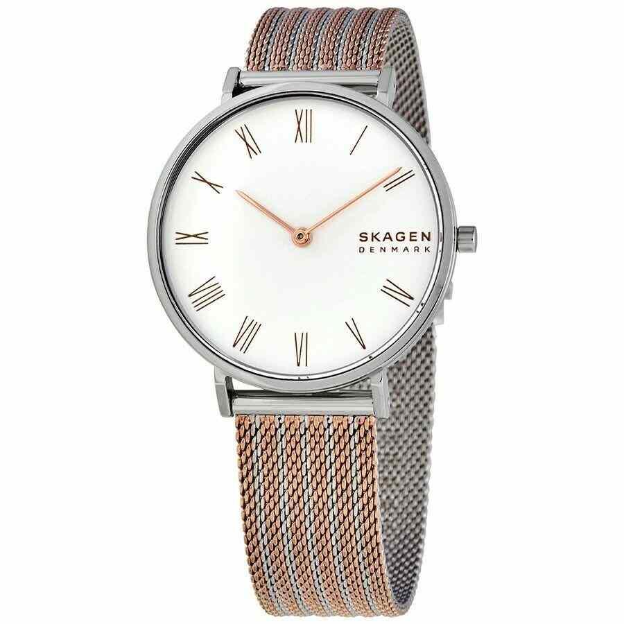人気絶頂 スカーゲン 腕時計 Skagen Hald ハルド レディース Two Tone Stainless Steel Mesh Band Watch Skw2815 セール価格 公式 Returntoantarctica Com