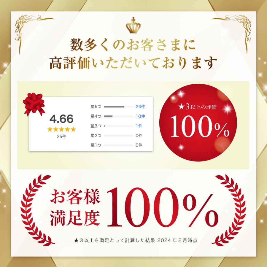時計工具セット 腕時計 修理工具 メンテナンス工具17種セット 時計工具セット 腕時計 修理工具 メンテナンス工具17種セット