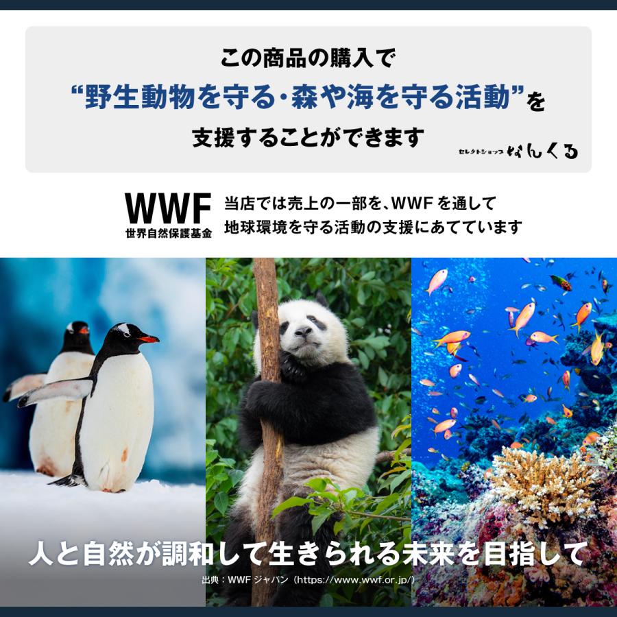 散髪用ハサミ すきバサミ 2本セット ケース付き 本格 シザーセット 美容師 理容 散髪 はさみ かみ ヘアカット セルフカット 自宅 家族｜nankuru｜19