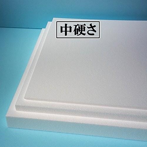 新規購入 発泡スチロール 板 工作 ３００ｍｍ ２００ｍｍ ５ｍｍ 中硬さ 枚 配送員設置送料無料 Www Bynaric In