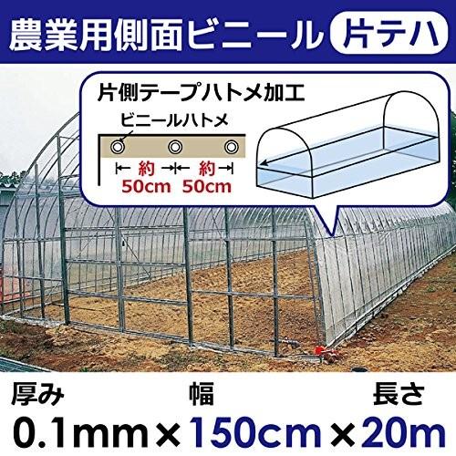 日本製側面（腰）用ビニール 片テープハトメ加工 厚み0.1mm 幅150cm 農業用ビニール 塩ビ 無滴透明 (長さ20m)