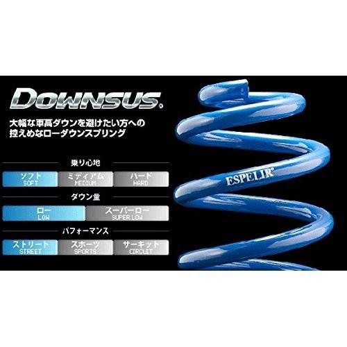 ESPELIR　(エスペリア)　DOWNSUS　セット　ESM-2193　スクラム_SCRUM　ESM-2193