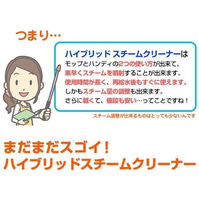 ハイブリッド スチームクリーナー 2年保証 除菌 掃除機 スチームモップ