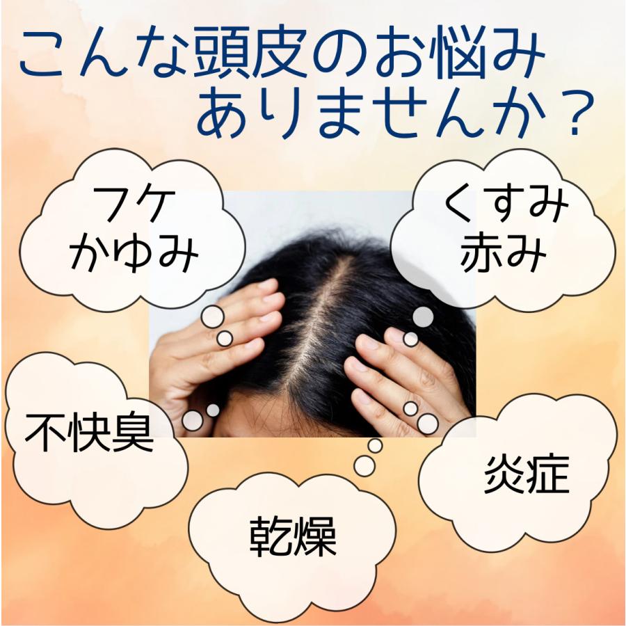 【公式ショップ】[レビューご投稿で400円引きクーポン進呈] サラメンテイッタナジオ 900ml 2個セットつめかえ用 ヘアスキャルプ＆ボディ クレンジングローション_5