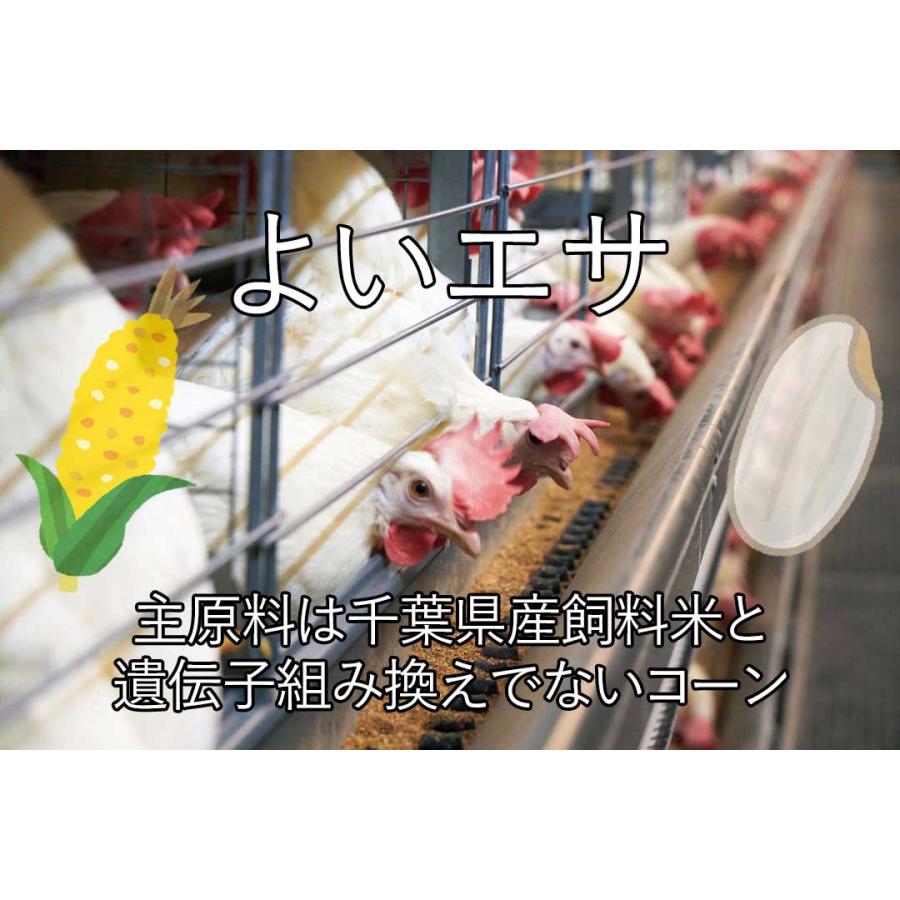鶏卵 菜の花エッグブランド アスタキサンチン卵白玉30個 | 菜の花エッグ | 04