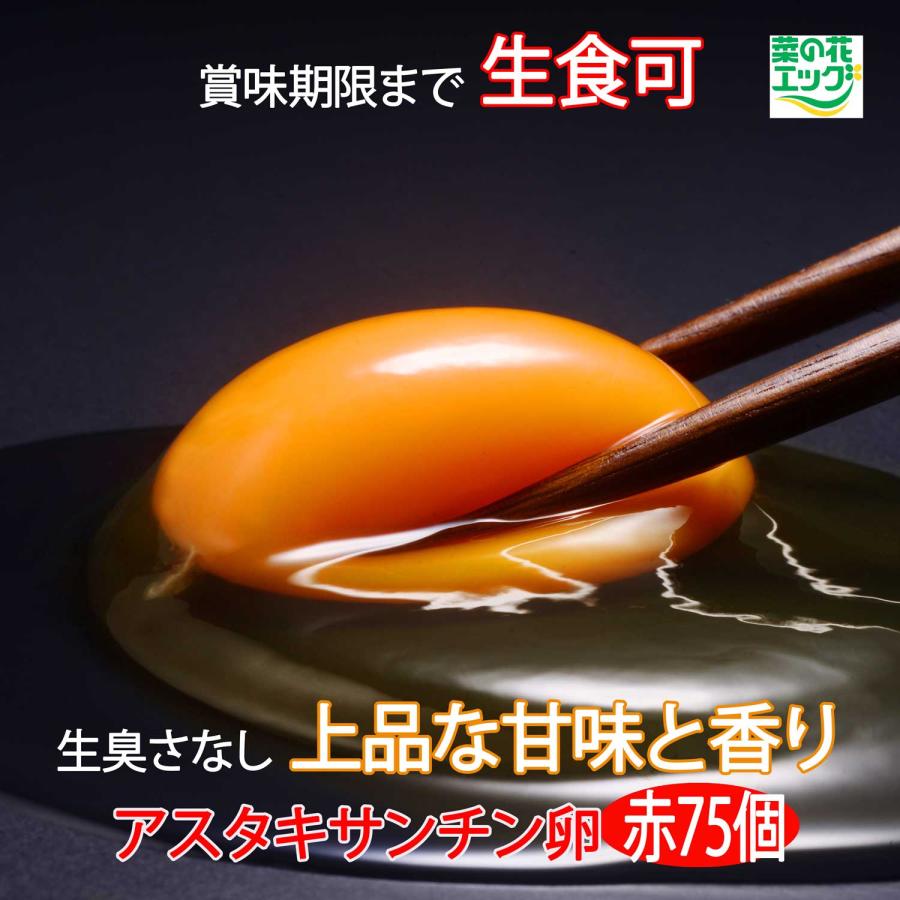 鶏卵 菜の花エッグブランド アスタキサンチン卵赤玉75個 | 菜の花エッグ