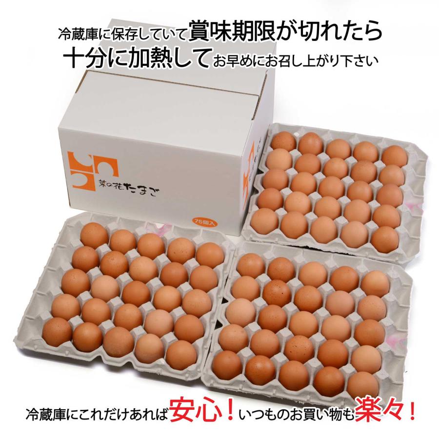 鶏卵 菜の花エッグブランド アスタキサンチン卵赤玉75個 | 菜の花エッグ | 01