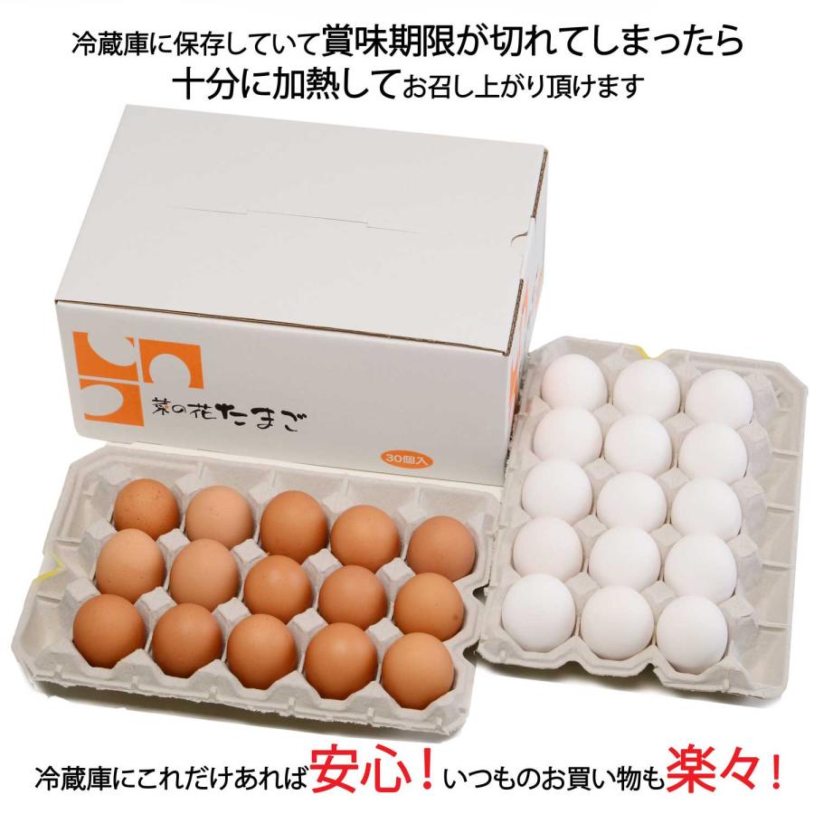 鶏卵 菜の花エッグブランド アスタキサンチン卵 赤玉15+白玉15 | 菜の花エッグ | 01