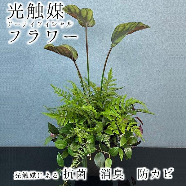 光触媒アーティフィシャルフラワー アーティフィシャルフラワー 抗菌 消臭 防カビ TYPE-M01の画像
