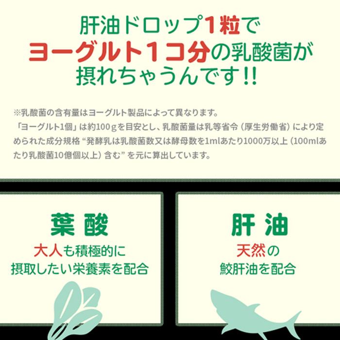 [宅配便]おとなの肝油ドロップ オレンジ味 (120粒入) 5点セット 葉酸 鮫肝油 乳酸菌【野口医学研究所】｜nanokitadrug｜03