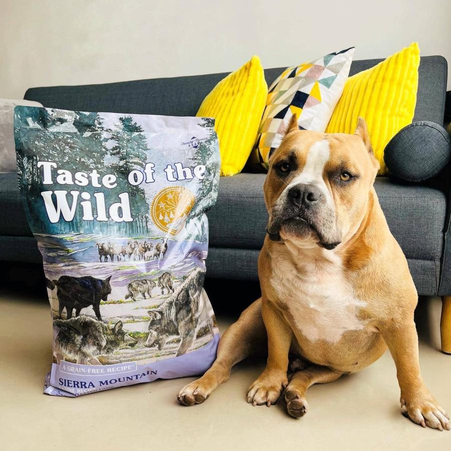 Taste of the Wild テイストオブザワイルド 鹿肉　ラム肉 テイストオブザワイルド シエラマウンテン 12.7kg 正規品 ラム肉 羊肉