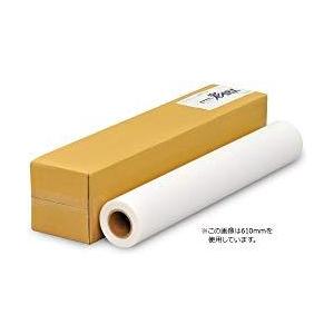 彩dex200 高発色防炎クロス 1067mm×20M 0000-208-HS13 取り寄せ商品
