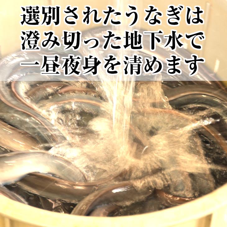 わさび漬け/根わさび/浜名湖産うなぎ蒲焼き＆白焼きセット 送料無料 セット 父の日 お中元 土用の丑の日 ギフト うなぎ 鰻 お取り寄せ おうち グルメ プレゼント｜nanoya｜05