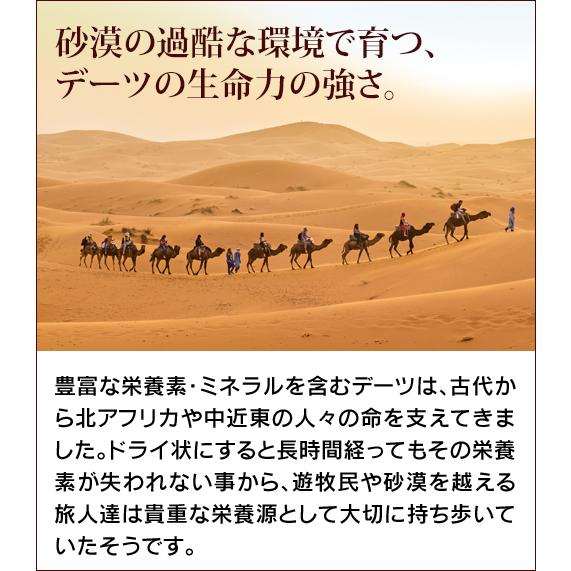 デーツクラウン (DATE CROWN)「デーツシロップ」(400g)  【2本セット５％OFF】 |  | 07