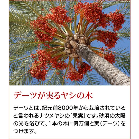 デーツ クラウン (DATE CROWN)「デーツシロップ」(400g) |  | 08