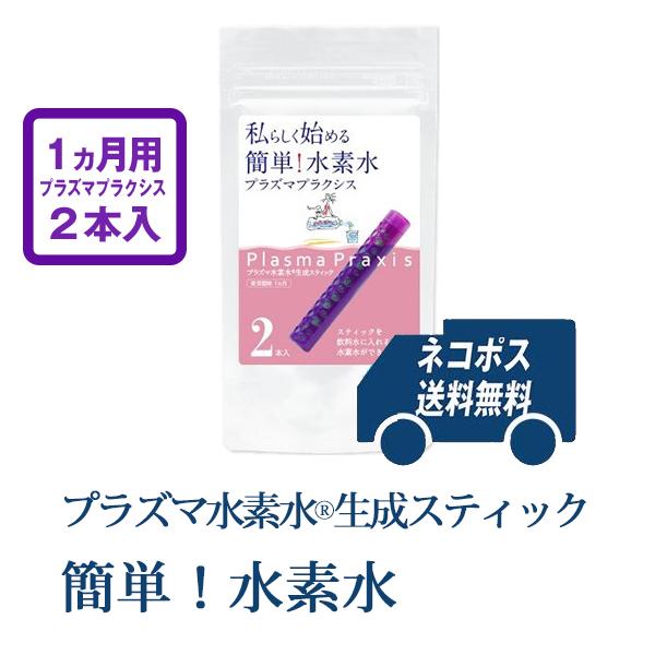 水素水スティック 簡単！水素水 2本入 美味しい 飲みやすい 水道水