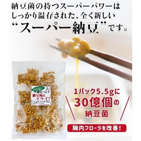 納豆菌はエライ！」3個セット10％off 【賞味期限20260804】納豆菌 大豆