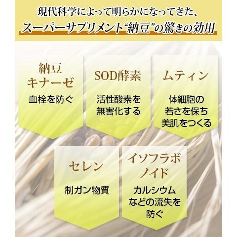 納豆菌はエライ！」3個セット10％off 【賞味期限20260804】納豆菌 大豆
