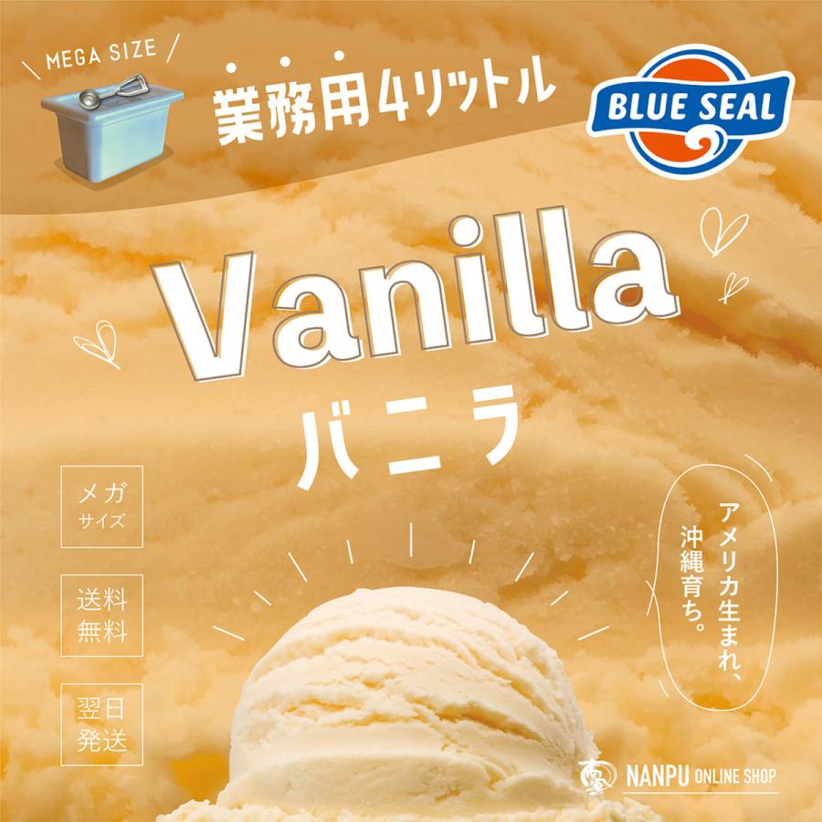 メガ盛り ブルーシールアイス バニラ 業務用 大容量 4リットル 沖縄 アイスクリーム ご褒美 ファミリー BLUE SEAL ICE Vanilla  :100040:南風オンラインショップ - 通販 - Yahoo!ショッピング