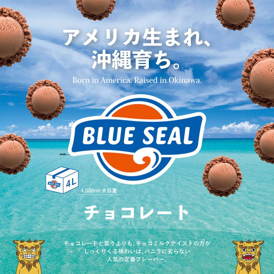ブルーシール アイス チョコレート 通販 業務用 大容量 4リットル 沖縄 