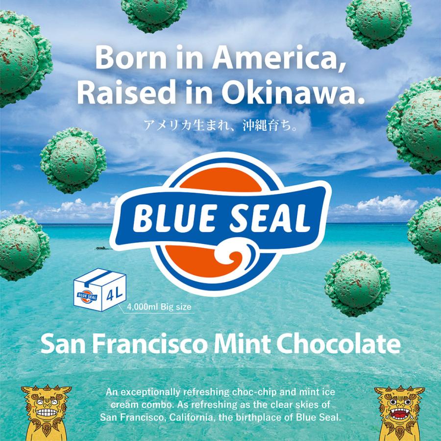 ブルーシール アイス サンフランシスコミントチョコ 通販 業務用 大 