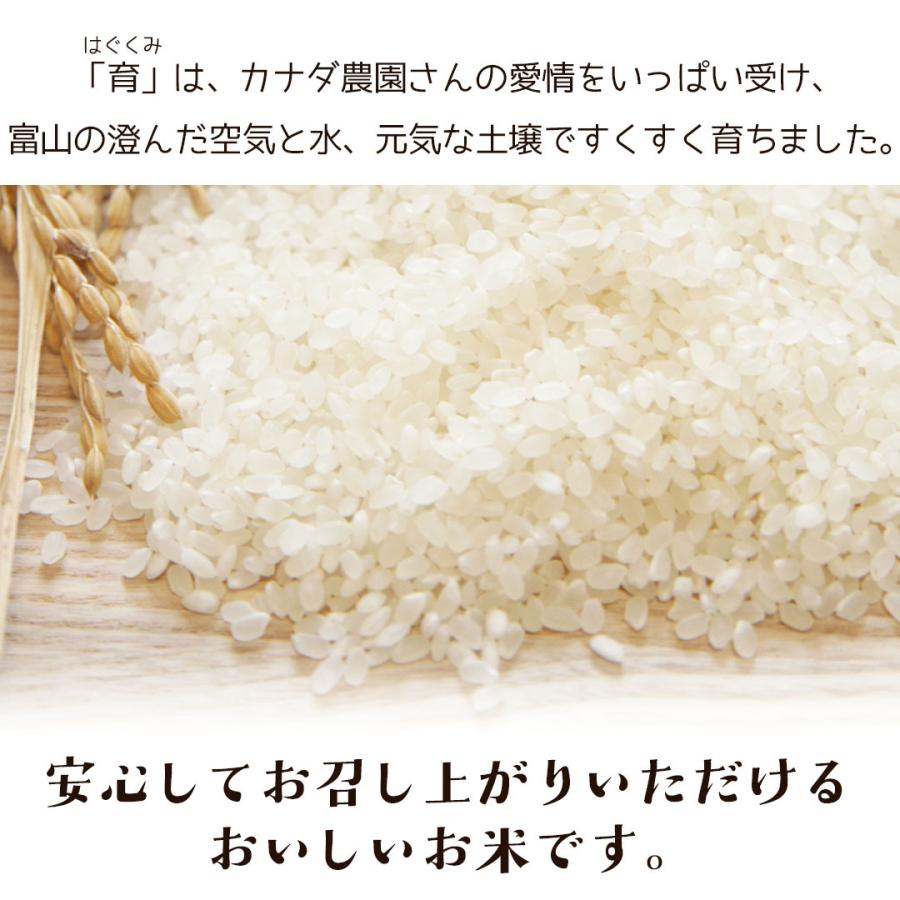 コシヒカリ 新米 令和6年度産 こしひかり 富山県産 3kg 普通米 コシヒカリ 新米 令和6年度産 こしひかり 富山県産 3kg 普通米