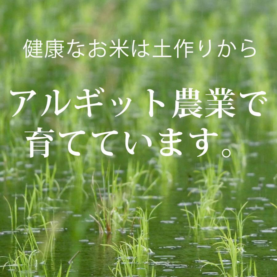 コシヒカリ 新米 令和6年度産 こしひかり 玄米 富山県産 30kg コシヒカリ 新米 令和6年度産 こしひかり 玄米 富山県産 30kg