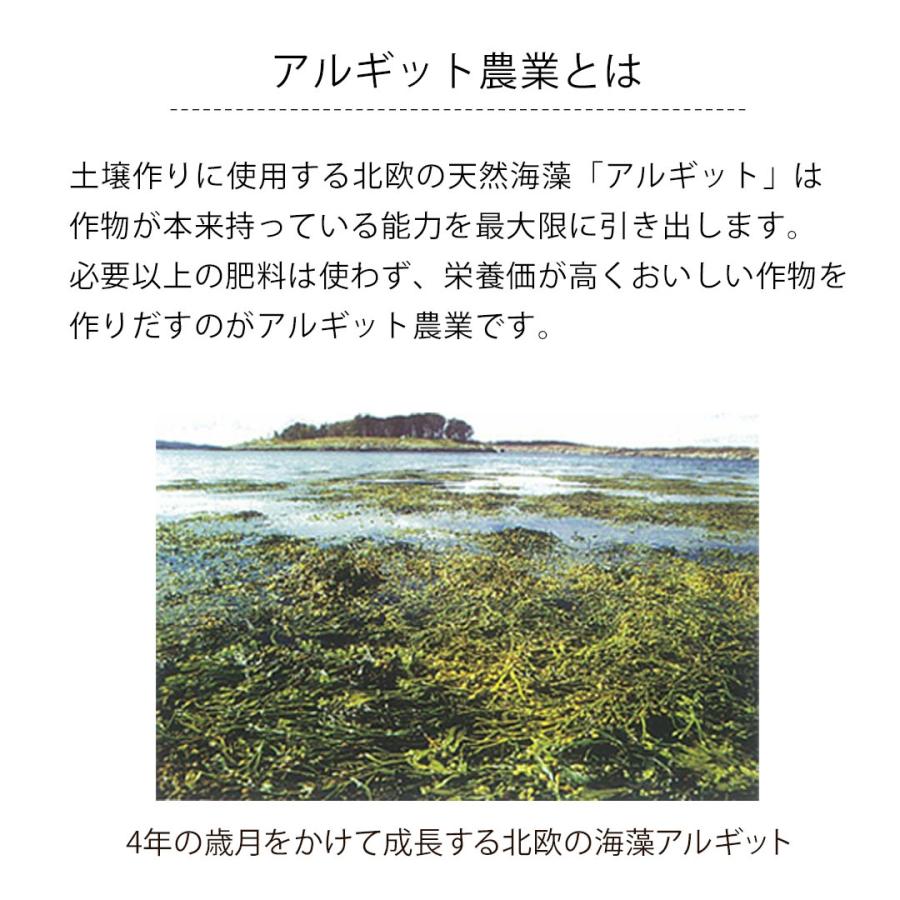 コシヒカリ 新米 令和6年度産 こしひかり 玄米 富山県産 30kg コシヒカリ 新米 令和6年度産 こしひかり 玄米 富山県産 30kg