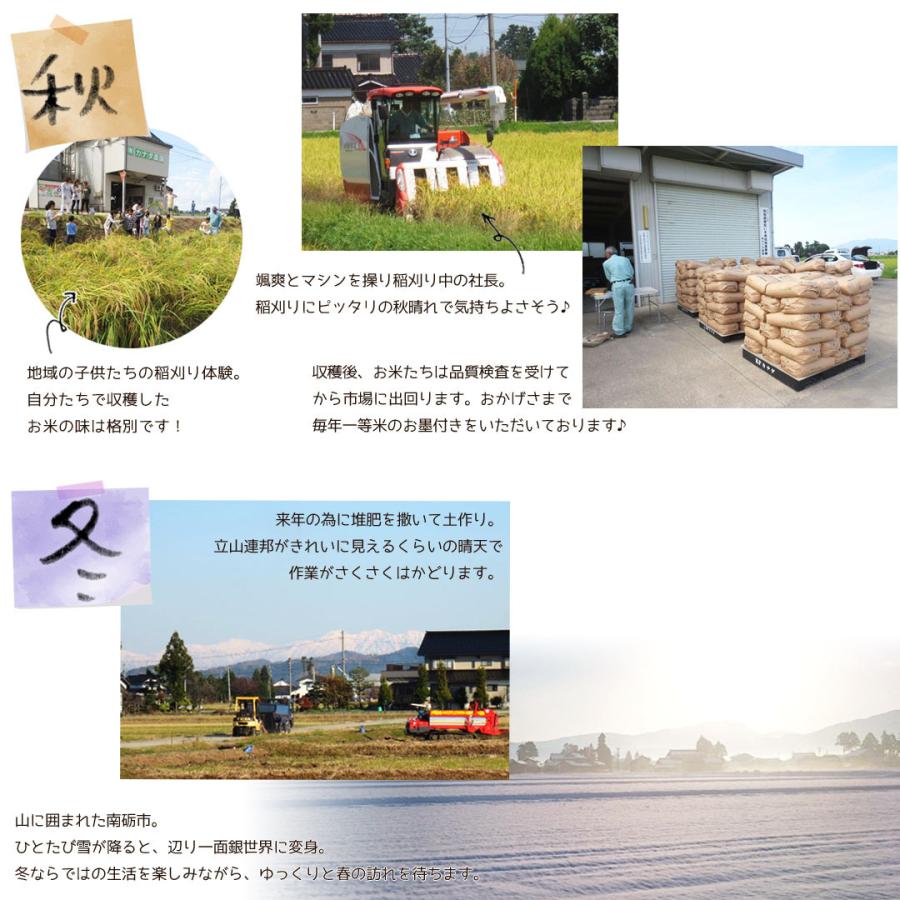 コシヒカリ 新米 令和6年度産 こしひかり 玄米 富山県産 30kg コシヒカリ 新米 令和6年度産 こしひかり 玄米 富山県産 30kg