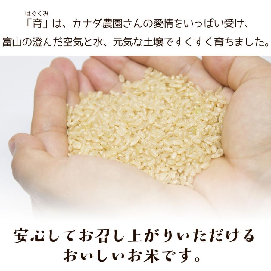 コシヒカリ 新米 令和6年度産 こしひかり 玄米 富山県産 30kg コシヒカリ 新米 令和6年度産 こしひかり 玄米 富山県産 30kg