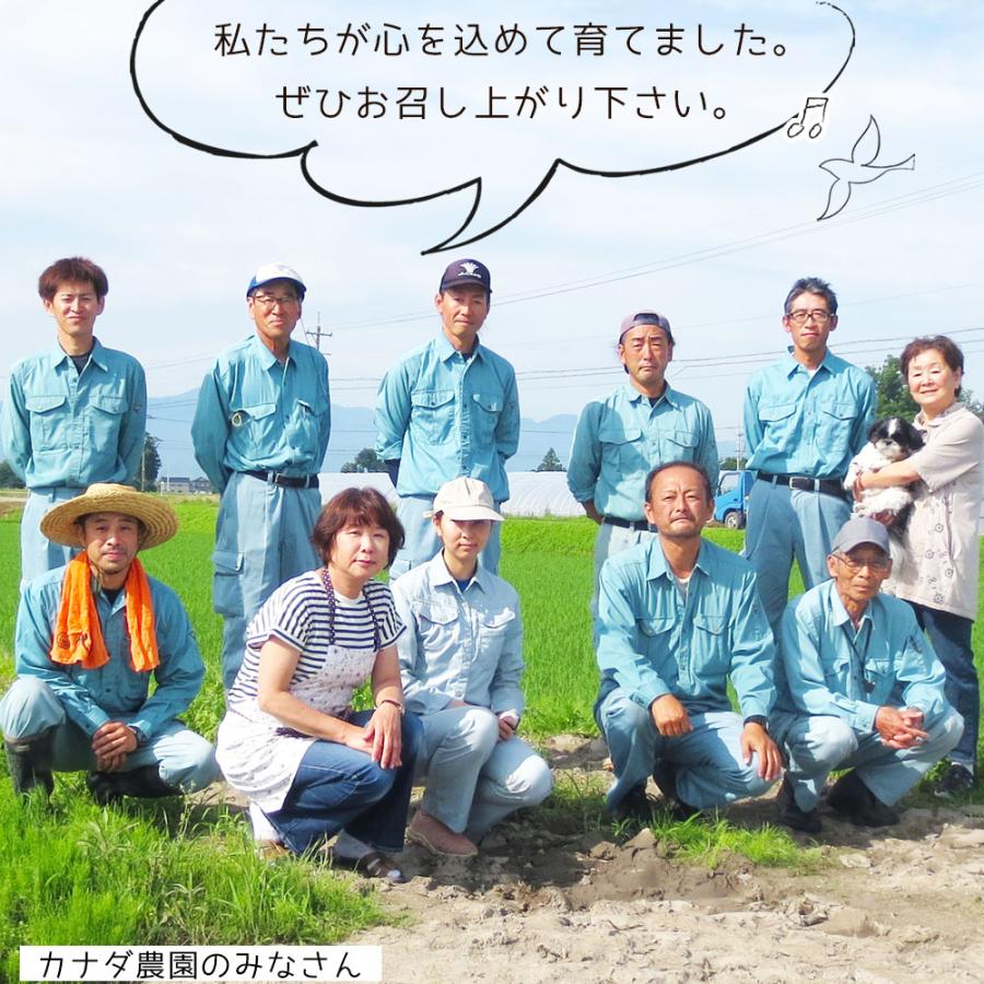 コシヒカリ 新米 令和6年度産 こしひかり 玄米 富山県産 30kg コシヒカリ 新米 令和6年度産 こしひかり 玄米 富山県産 30kg