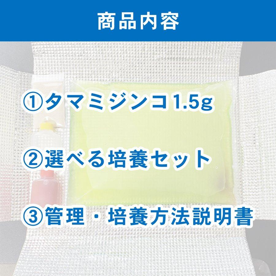 タマミジンコ1.5g(ミジンコ1500匹以上、ネコポス送料無料、死着保証あり、選べる培養セット付き、自家培養、クロレラ水入り) :m0005:いがじょうマルシェ - 通販 - Yahoo!ショッピング タマミジンコ1.5g(ミジンコ1500匹以上、ネコポス送料無料、死着保証あり、選べる培養セット付き、自家培養、クロレラ水入り) :m0005:いがじょうマルシェ - 通販 - Yahoo!ショッピング