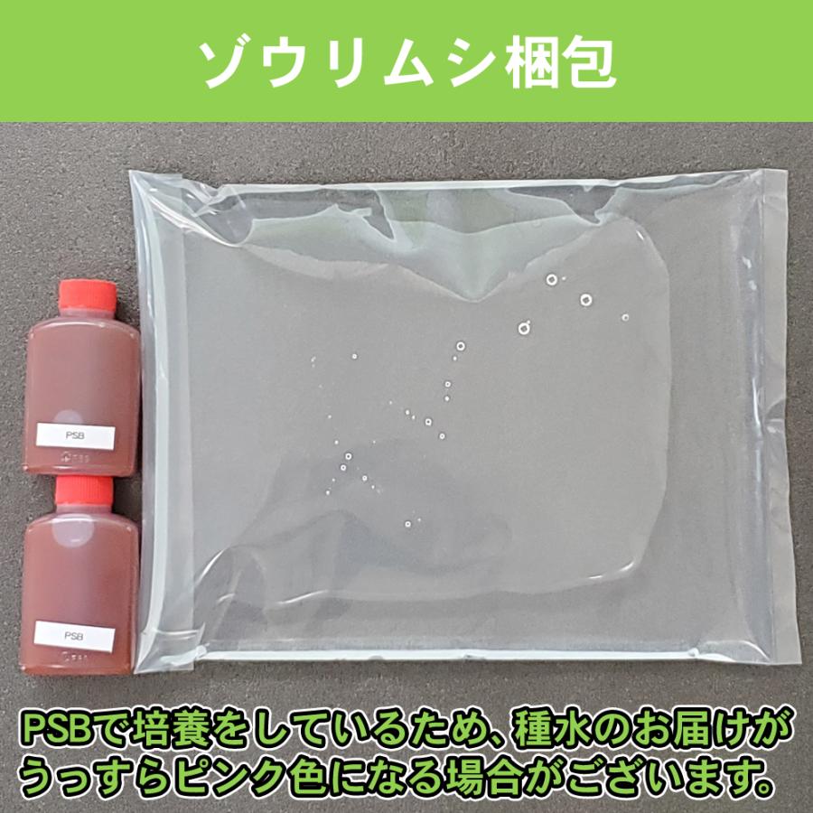 ゾウリムシ飼育繁殖 ケースセット ゾウリムシ飼育繁殖 ケースセット