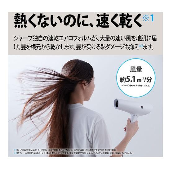 SHARP IB-P601 ホワイト　新品！！ IB-P601 | 美容家電：シャープ