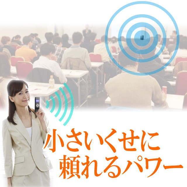 パワギガM NZ−691−W(定格15W、最大20W)ブラック、無線