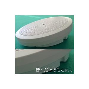 8Ω、10Wの壁掛けスピーカー NZ−S12E 置いてもOK、ロー