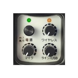高感度・高音質ワイヤレススピーカー NZB−WS10 B型800MHz