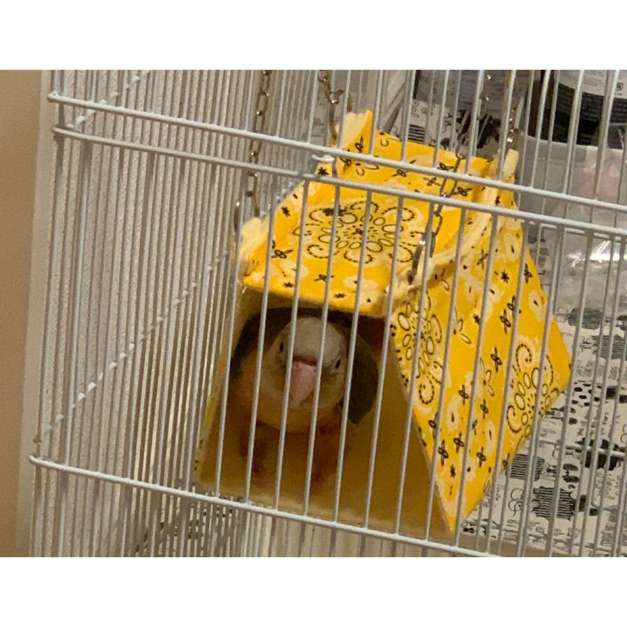 バードテント　春夏用Sサイズ 4点 バードテント インコテント 四角バードテント 寝床 ステージ付 Sサイズ