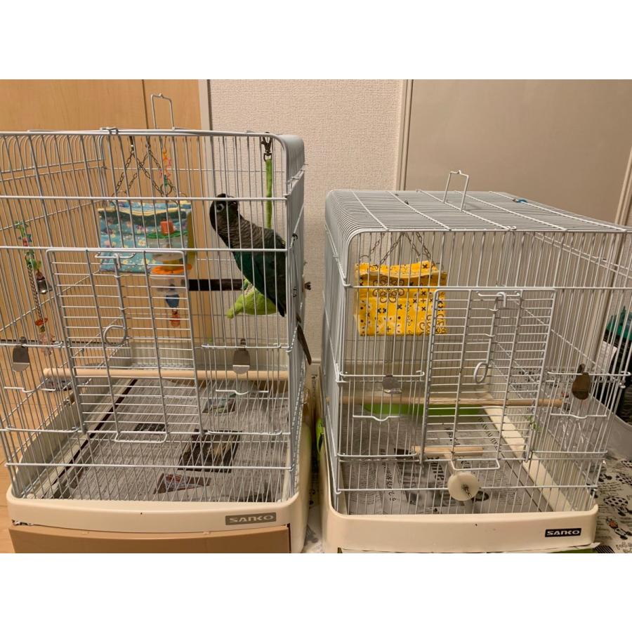 バードテント インコテント 四角バードテント 寝床 ステージ付 Sサイズ