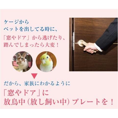 オーダーメイド 放鳥中（放し飼い中）プレート 小鳥 インコ 鳥 : なお