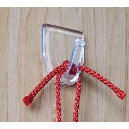 オーダーメイド 放鳥中（放し飼い中）プレート 小鳥 インコ 鳥 : なお