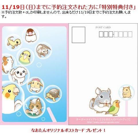 2018年 チンチラづくし 卓上カレンダー 2冊組 : なおたんのペット