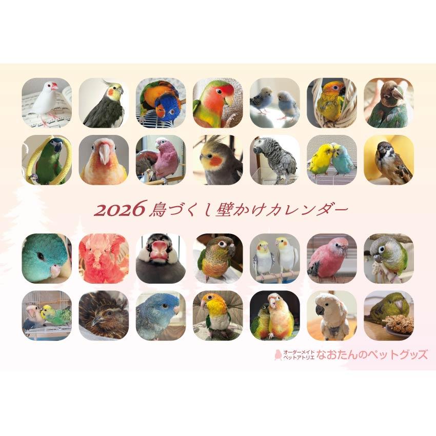 2026年 鳥づくし壁掛けカレンダー インコ 小鳥 カレンダー 2026 壁掛け