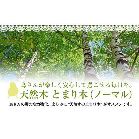 鳥用 とまり木 止まり木（天然木 ノーマル）M 木材 玩具 小鳥 安全