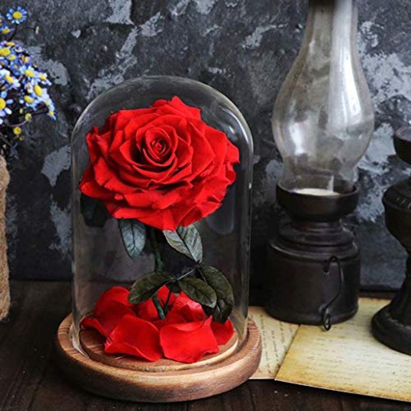 直売一掃 プリザーブドフラワー １輪のバラ ギフト ガラスドーム 枯れない花 ドライフラワー バラ ブライト Ledライト付き ラッピング済み ケース 売り出し本物 Miracleleaffl Com