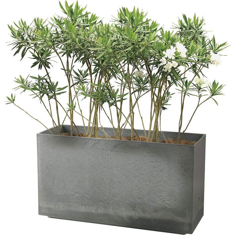 【新品未開封】 リッチェル 大型プランター 陶器風 ライトグレー 80×29.5×45cm ラヴィーレWS レクタングル 80型 底面給水機能付き 7090 【W7355484780】(26360円)